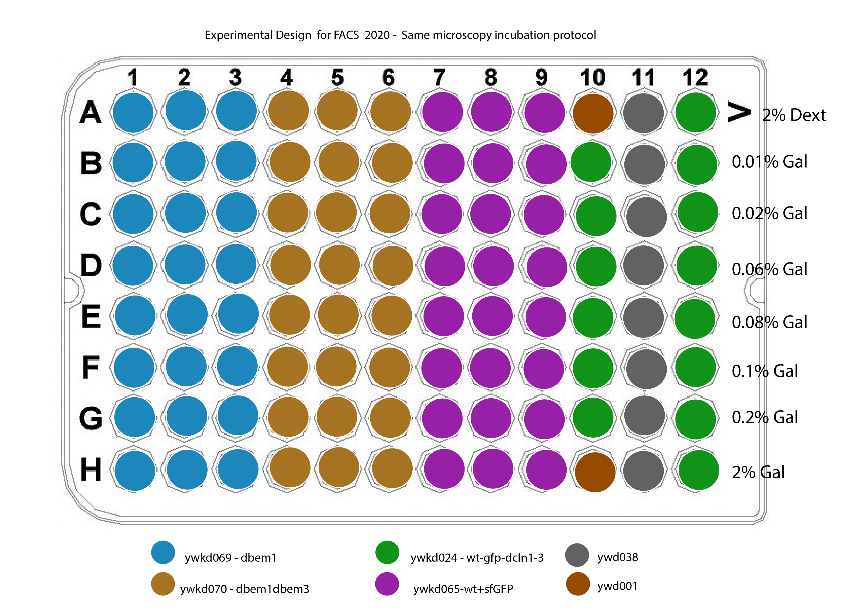Plate design for this FACS experiment
