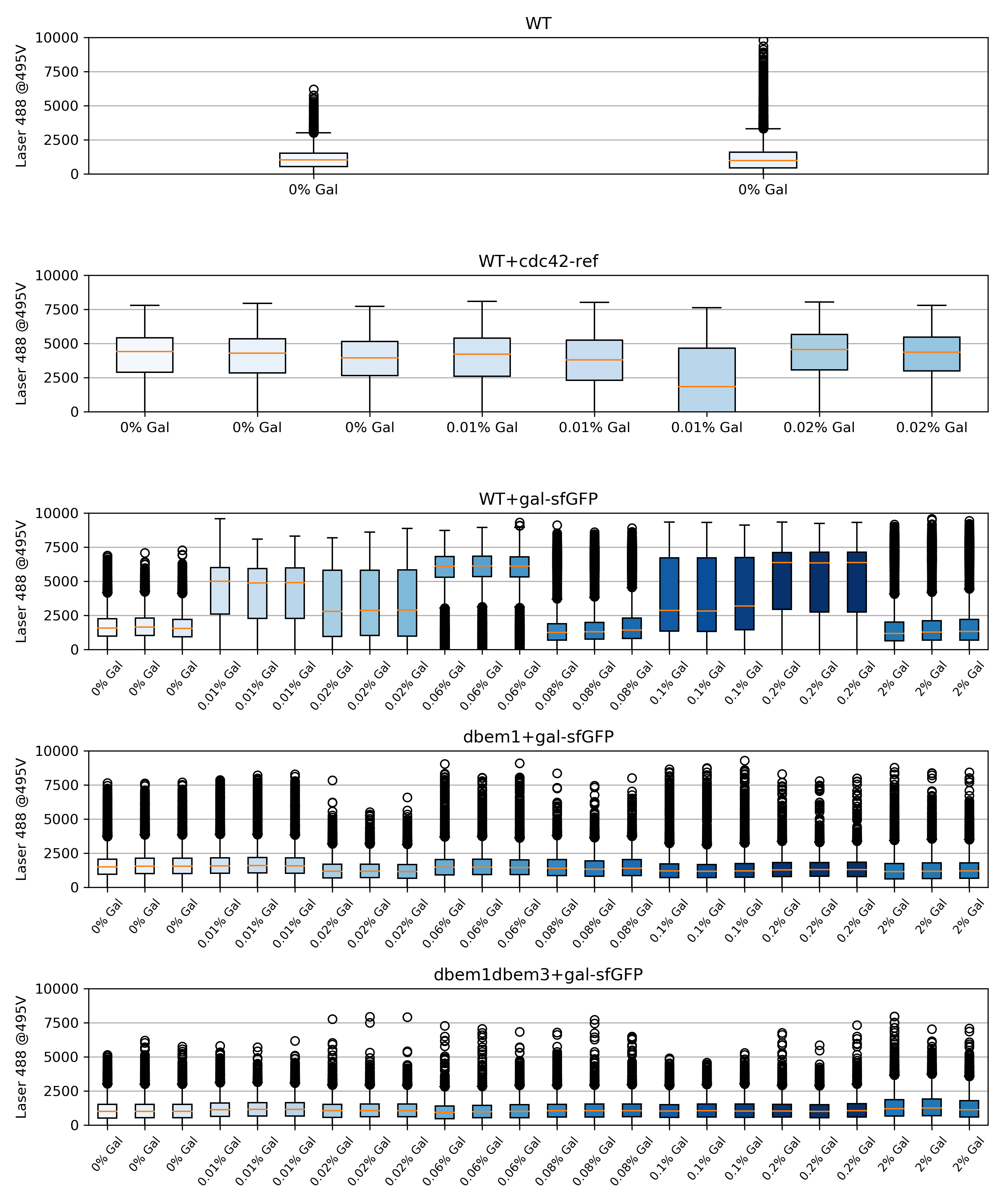 Boxplots of all the dataset per strain