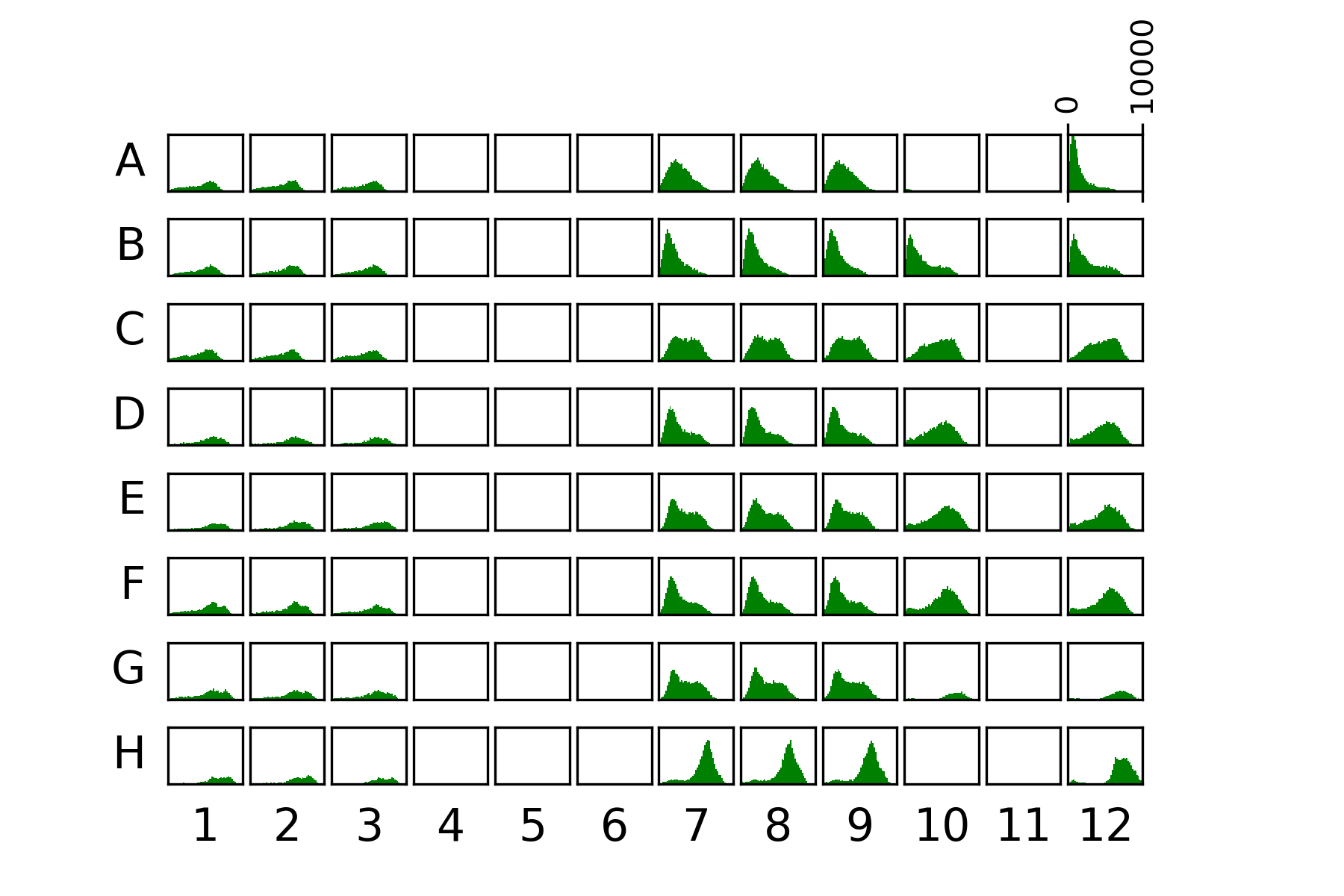 Whole plate for 02062020 measurement