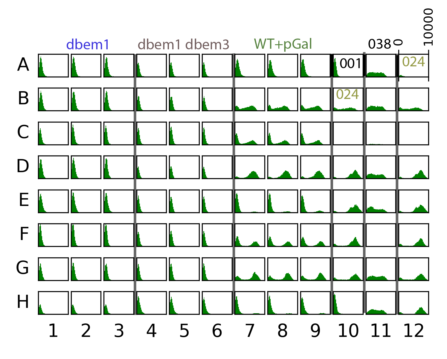 Overview of the data for the whole plate