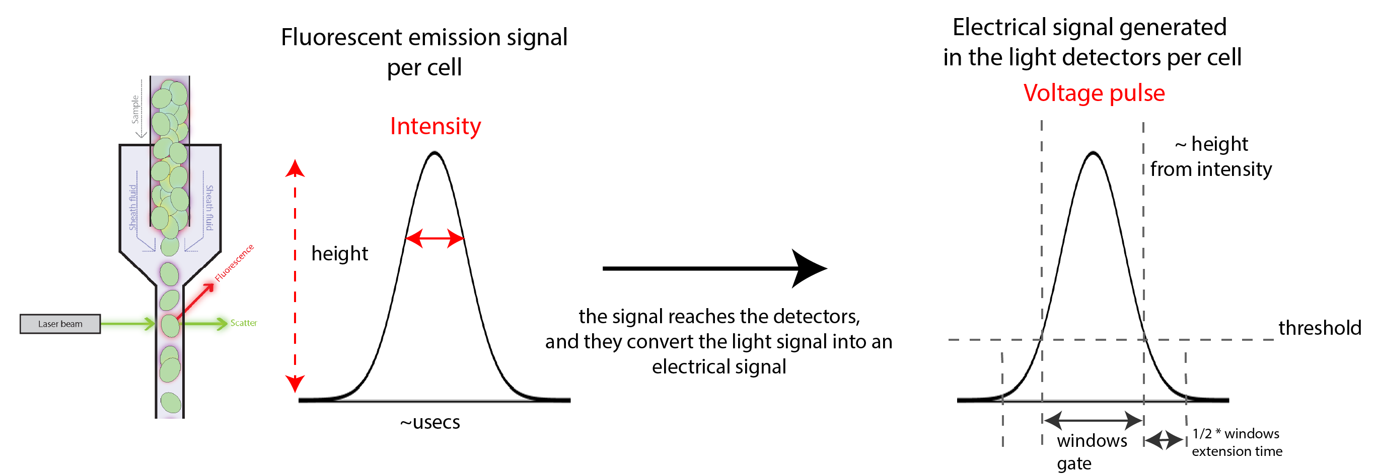 From intensities to voltages